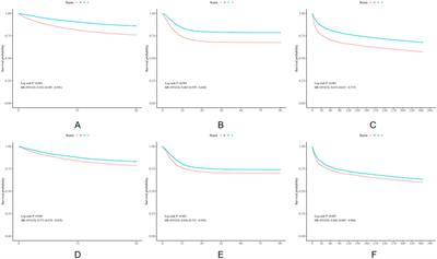 The impact of statin use on short-term and long-term mortality in patients with heart failure